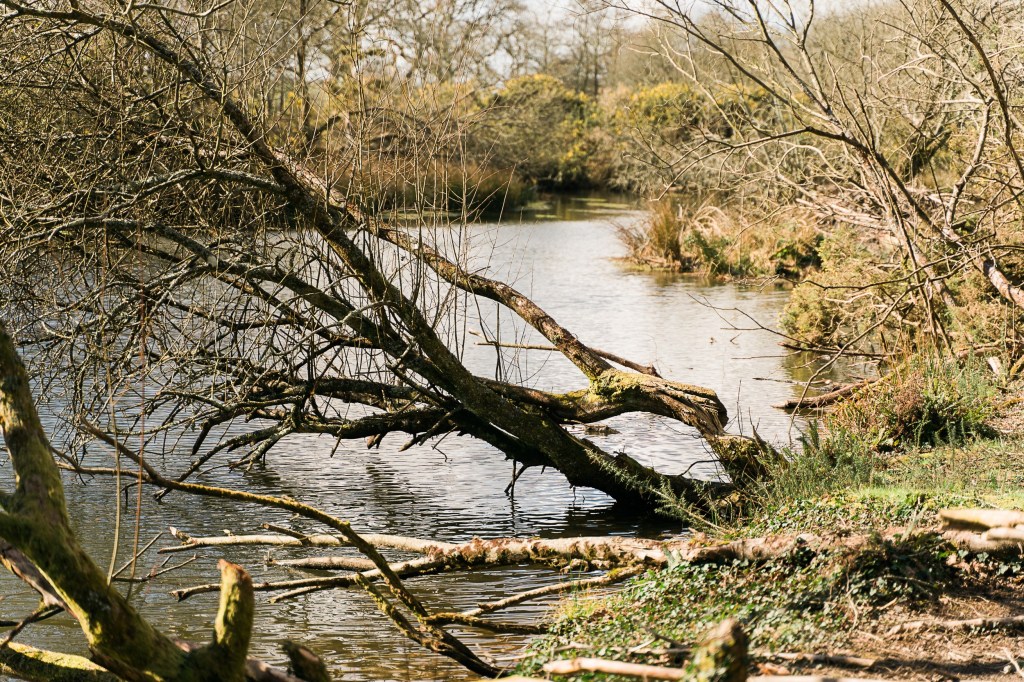 Chris Jones, Woodland Valley&nbsp;Farm